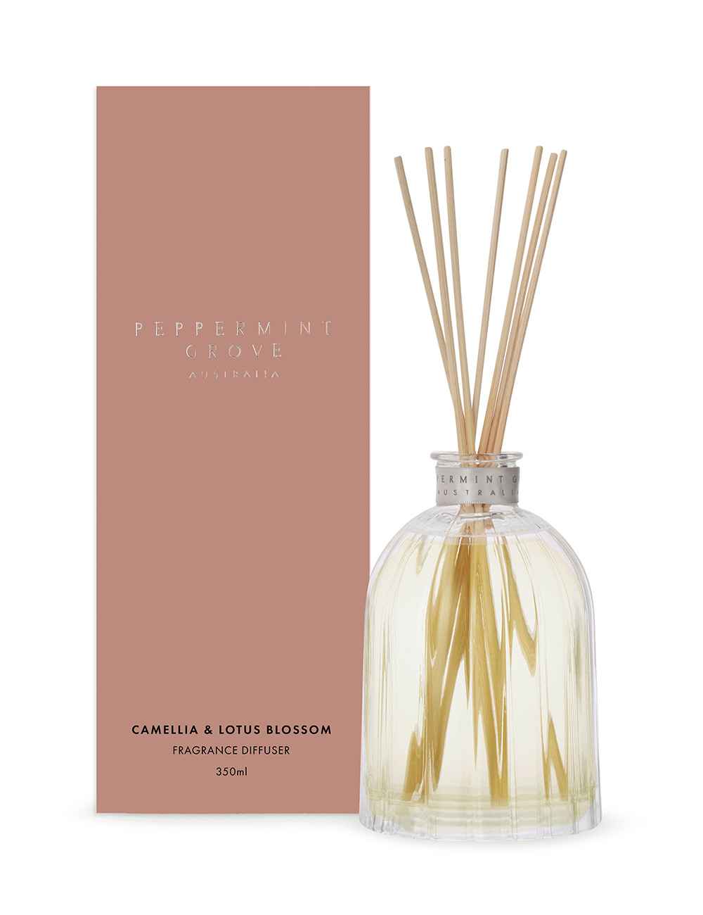 /products/PGDCL01.jpg