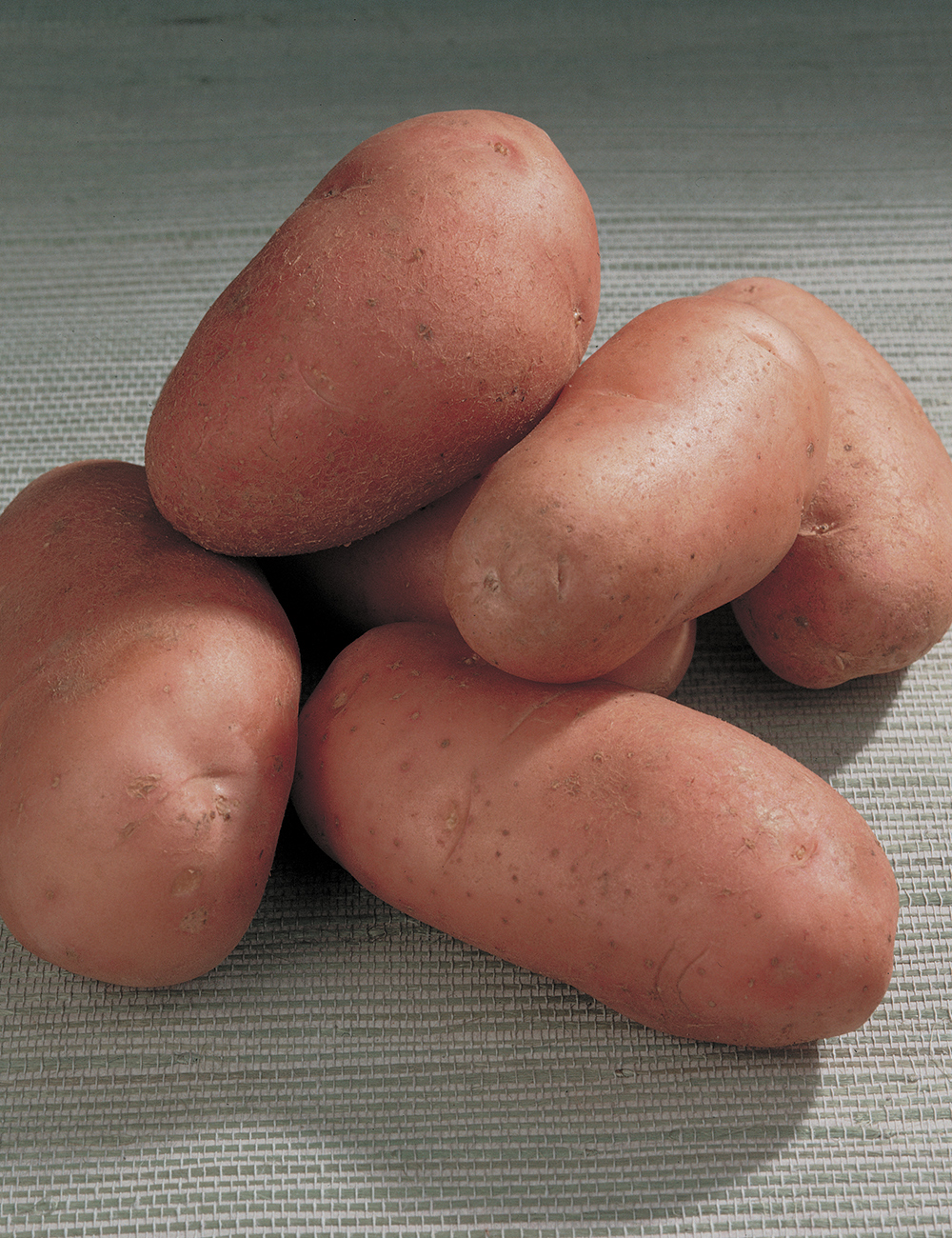 Red Potato 'Desiree'